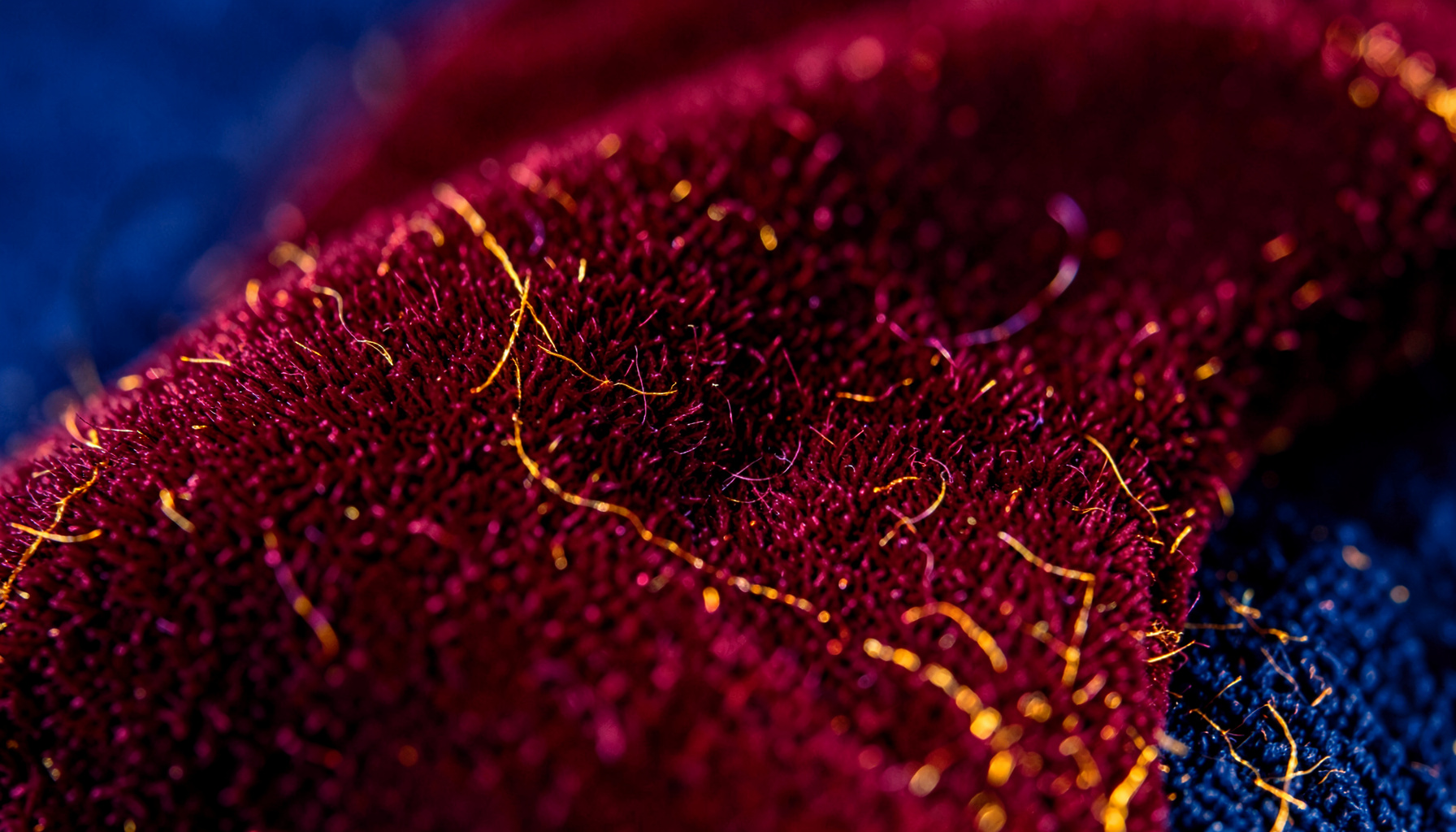 Extreme close-up of deep crimson velvet with golden-orange fiber highlights