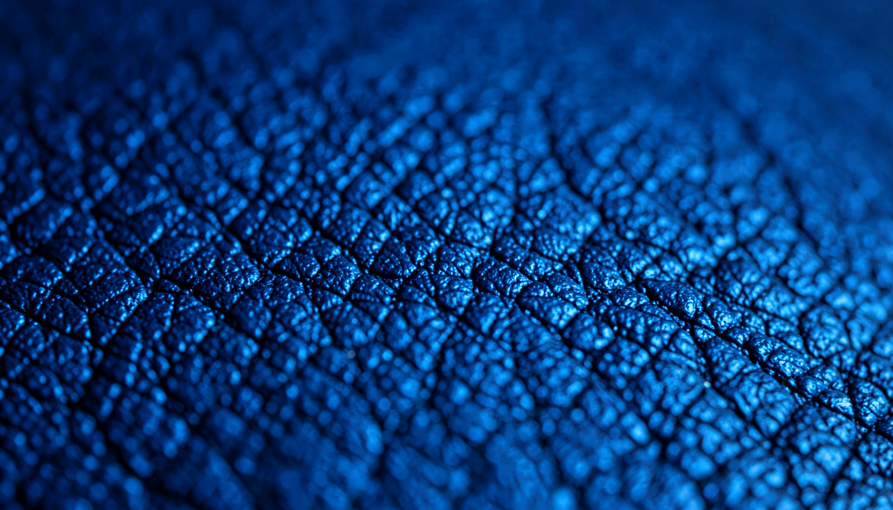 Extreme close-up of textured deep indigo leather grain with subtle electric blue sheen